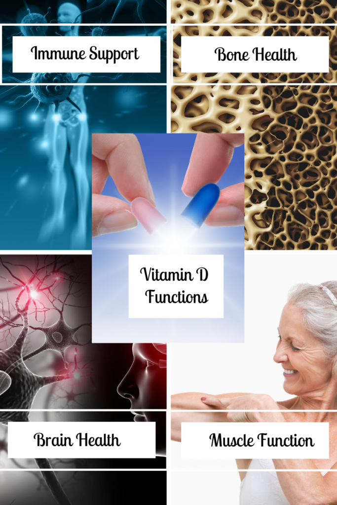 Functions of Vitamin D